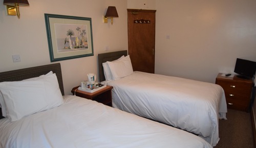 Habitación estándar con 2 camas individuales