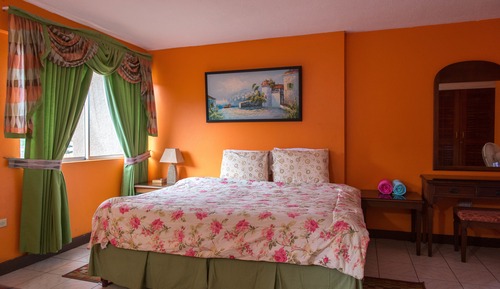 Estudio económico, 1 cama de matrimonio grande, cocina básica, vistas al patio