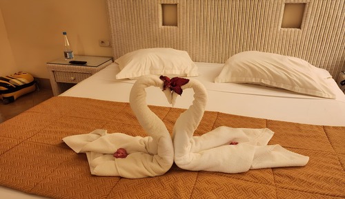 Habitación individual estándar