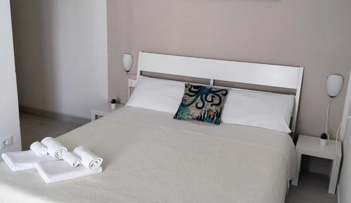 Habitación doble, 1 cama doble