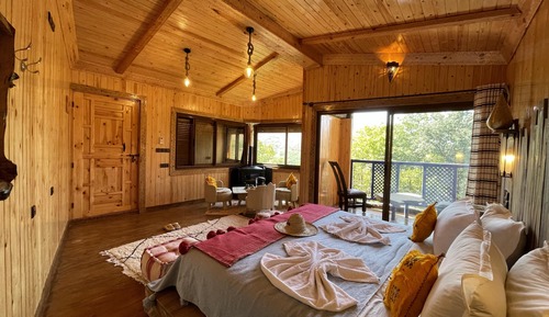 Habitación Grand con 1 cama doble o 2 individuales, 1 habitación, chimenea, vistas al jardín