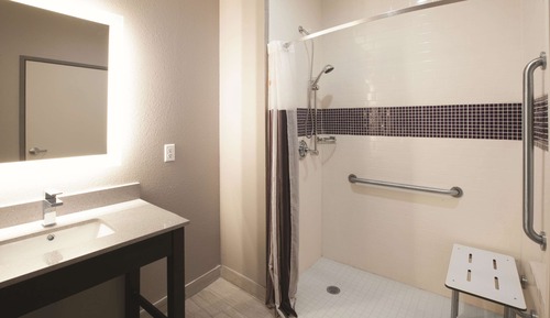 Habitación Deluxe, 1 cama de matrimonio grande, no fumadores (Roll-In Shower)