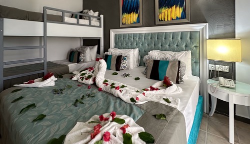 Bunk Bed Room 