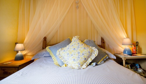 Habitación doble (Primrose)