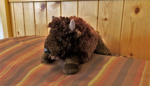 Habitación Confort doble, 1 cama de matrimonio, baño compartido (Bison)