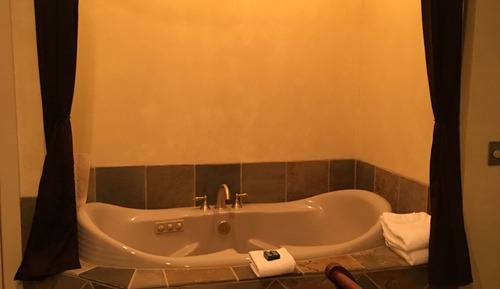Suite, baño privado (Pool House Suite 2)