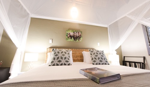 Cabaña Deluxe (Rhino Room )