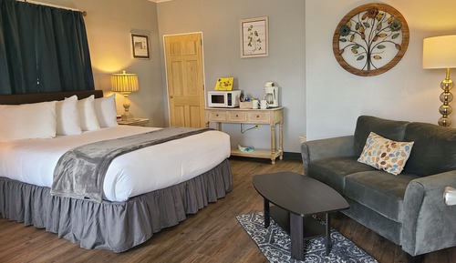 Suite estudio estándar, 1 cama de matrimonio, no fumadores, frigorífico y microondas