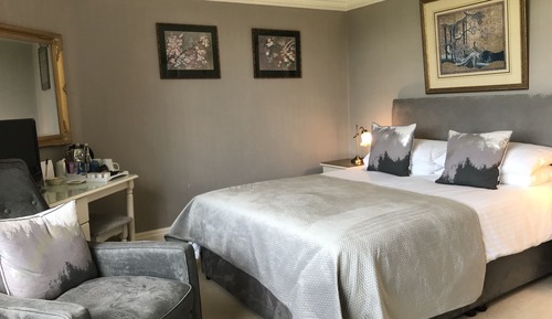 Habitación doble (Gold room)