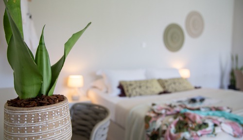 Suite estudio Deluxe, balcón, vistas al jardín