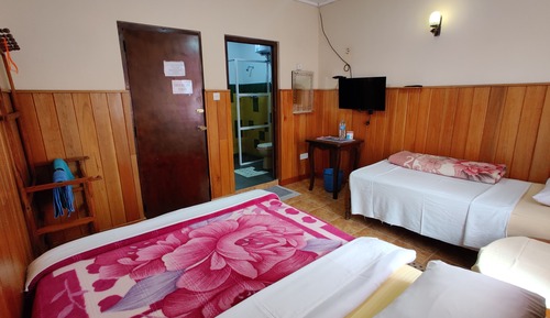 Habitación triple básica, 1 habitación