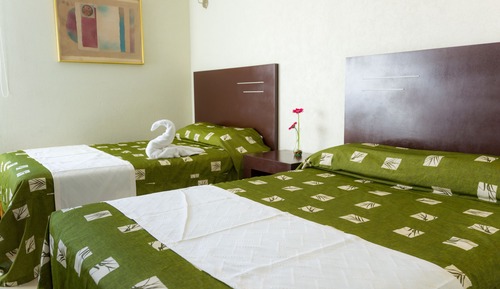 Habitación básica doble, 2 camas dobles