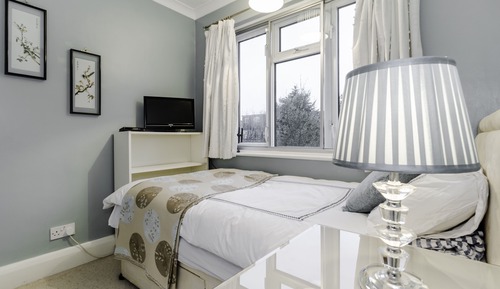 Habitación individual Premier, baño compartido, vistas al jardín (Blue Room)
