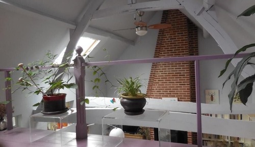 Casa de campo Confort, baño privado, vistas al jardín (L'atelier du cottage)