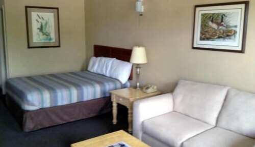 Habitación estándar, 1 cama de matrimonio, no fumadores