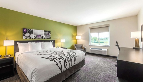 Habitación estándar, 1 cama de matrimonio grande, no fumadores