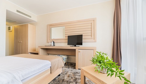 DOUBLE STANDARD BALCONY AND DANUBE VIEW,
