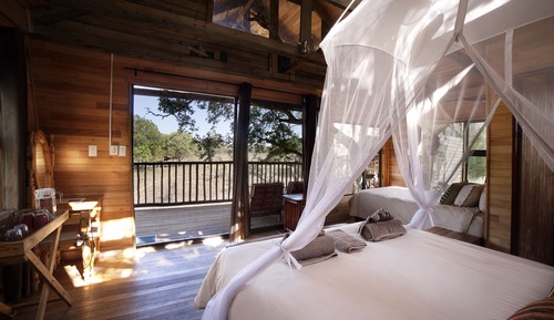 Jackalberry (Standard Tree House)