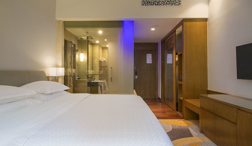 Habitación, 1 cama de matrimonio grande, vistas a la ciudad