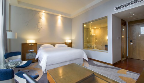 Suite, 1 cama de matrimonio grande, vistas a la ciudad