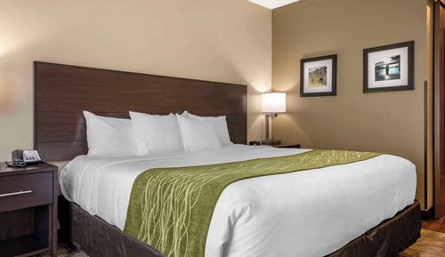 Habitación estándar, 1 cama de matrimonio grande, no fumadores