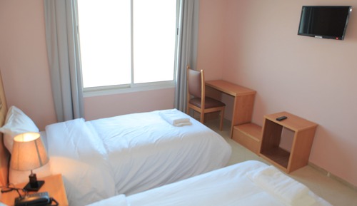 Habitación con 2 camas individuales, vistas a la ciudad