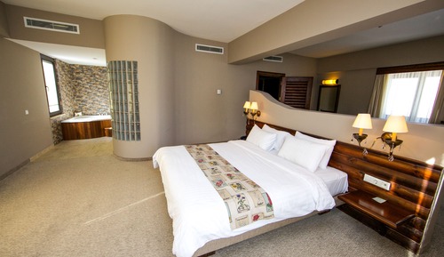 Suite, vistas a la montaña (VIP)