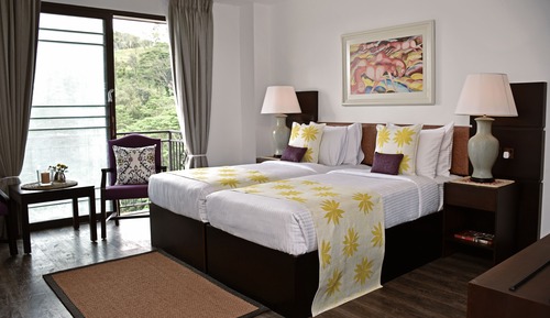 Habitación Deluxe con 2 camas individuales