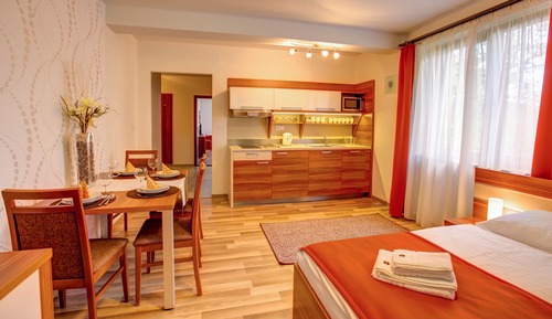 Suite estudio familiar, 2 habitaciones, cocina, vistas a la montaña