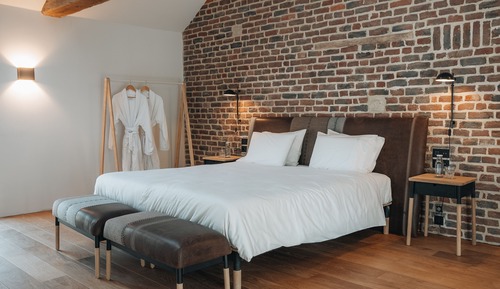 Habitación ejecutiva con 1 cama doble o 2 individuales