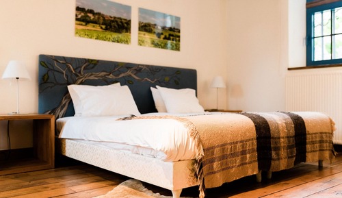 Habitación Deluxe con 1 cama doble o 2 individuales (La Chambre Bois)