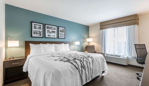 Habitación estándar, 1 cama de matrimonio grande, no fumadores