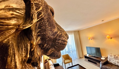 Apartamento Confort, vistas a la ciudad