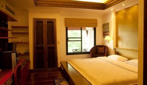 Habitación Deluxe (Waterfall View)
