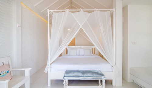 One Bedroom Beachfront Pool access