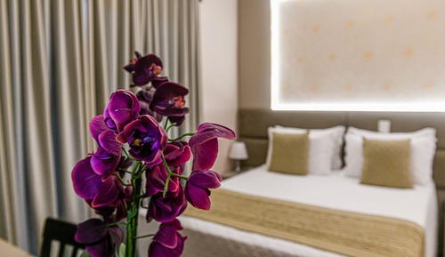 Suite, bañera