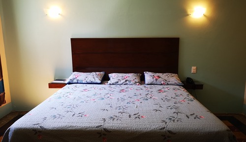 Habitación estándar, 1 cama de matrimonio grande, baño privado