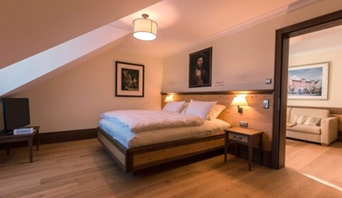 Suite estándar, 1 habitación (Single Use)