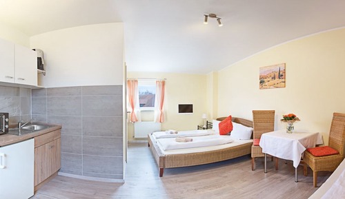 Estudio estándar, 1 habitación