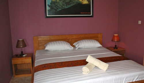Habitación Deluxe (King Room, Mountain View)