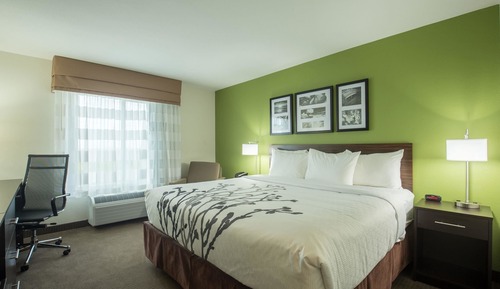Habitación, 1 cama de matrimonio grande, accesible para personas con discapacidad, no fumadores