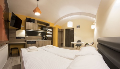 Estudio clásico, 1 habitación (Basement)