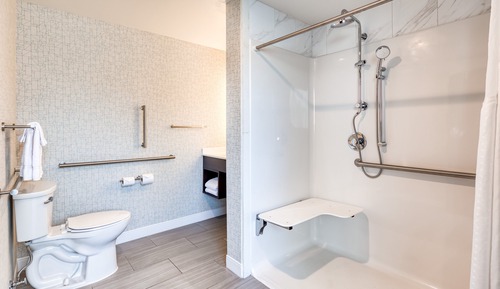 Habitación estándar, 1 cama de matrimonio grande (Roll-In Shower)