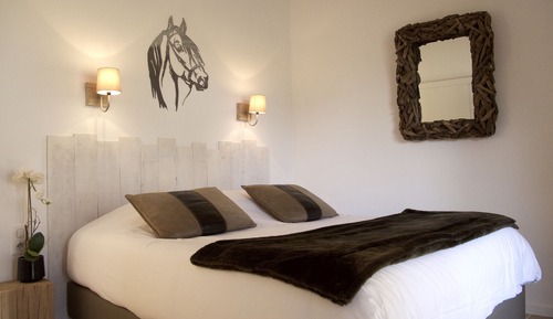 Suite Premium