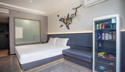 Basic Single Room