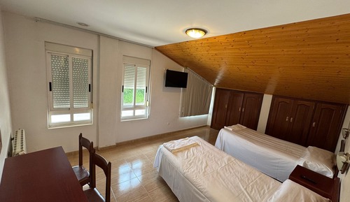 Basic Twin Room
