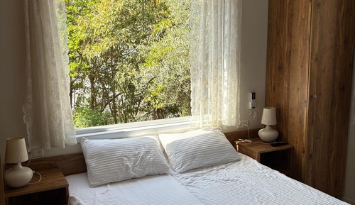 Habitación clásica con 1 cama doble o 2 individuales, vistas al jardín