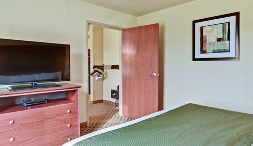 Suite estudio, varias camas (Mobility/Audible, Roll-in Shower)