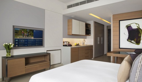 Estudio, 1 cama de matrimonio grande