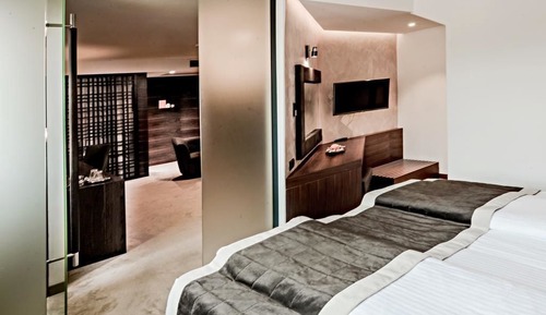 Suite Deluxe, 1 cama doble, accesible para personas con discapacidad, vistas a la ciudad